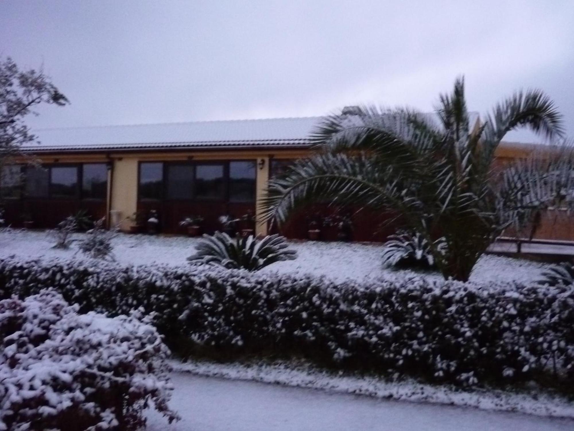 Agriturismo Isidoro Fertilia Exterior foto